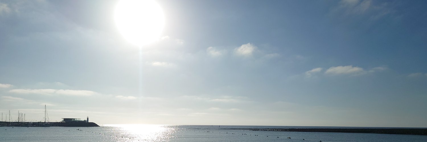 Shaurna Dickson banner