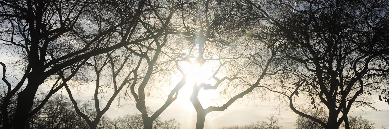 lauriethin's profile banner image