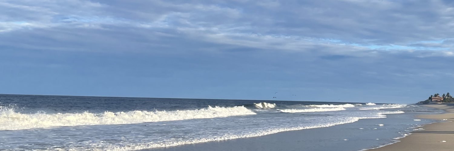 Srinivas Kolluru (శ్రీనివాస్ కొల్లూరు), PhD🛰️🌊 banner