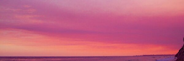 Ericalswenson Profile Banner