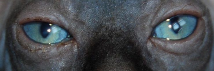 JesusesChild's profile banner image