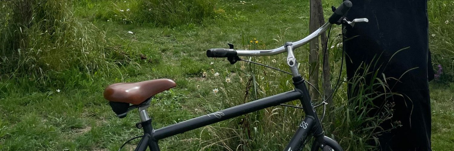 OTARMWEPPES's profile banner image
