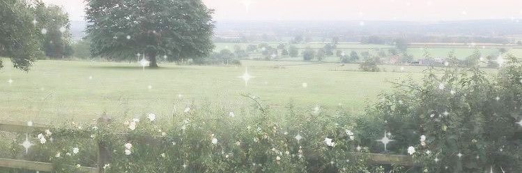 pointt16's profile banner image