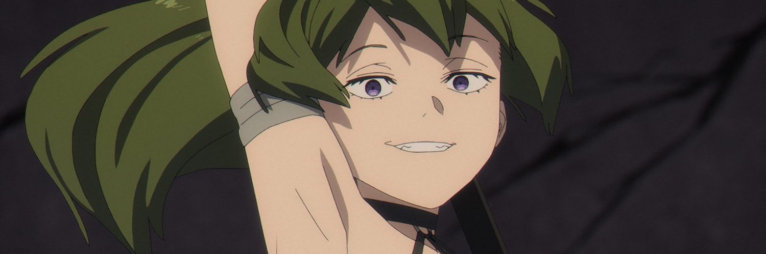 FLYWIT the frog banner