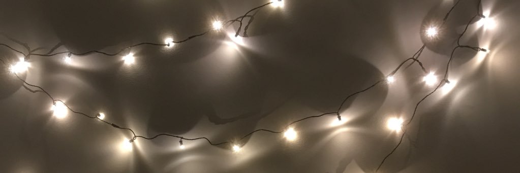 snow_ginn's profile banner image
