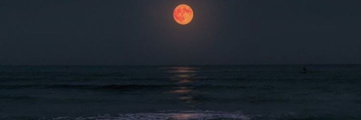 rahafimad4's profile banner image