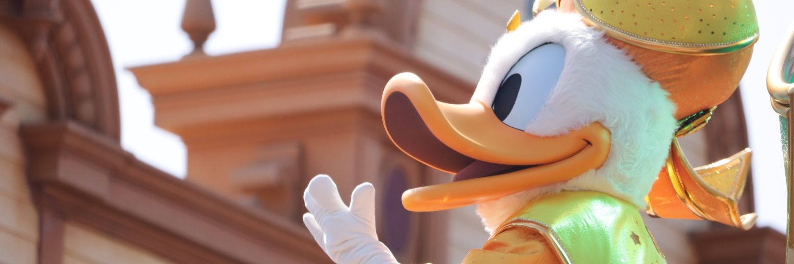 NaoldKoala's profile banner image
