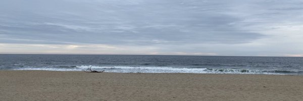 mrs_portelli Profile Banner