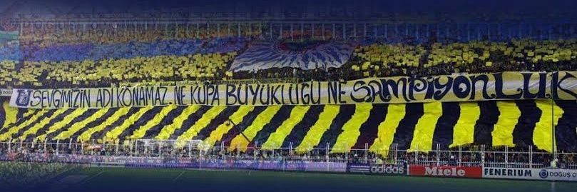 cengovic banner