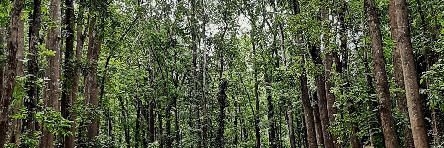 mhaeven_'s profile banner image