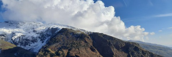 Effulgent_Zeal Profile Banner