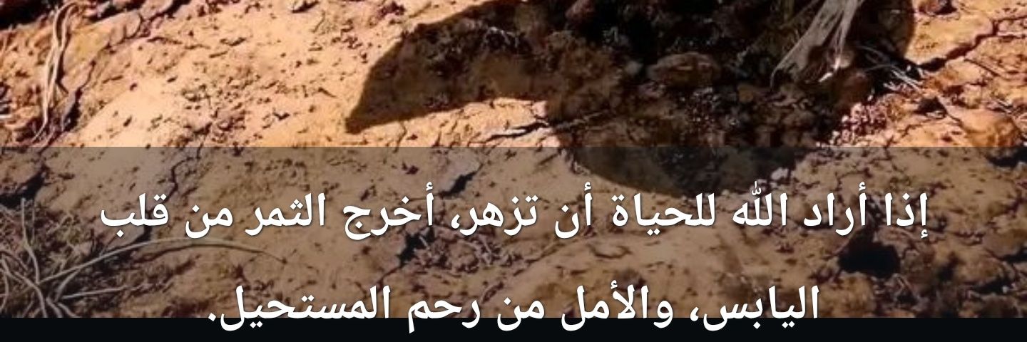 ام ريم وتالا 🤍🤍 banner