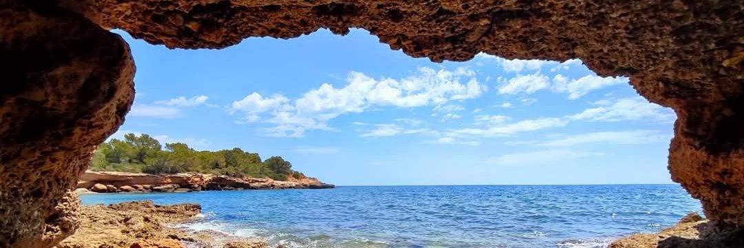 Eric Baulenas banner