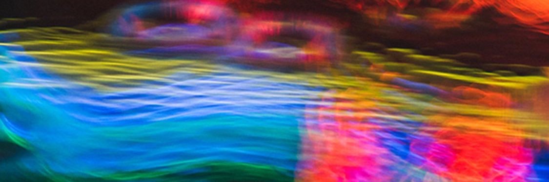 lionhair_ banner