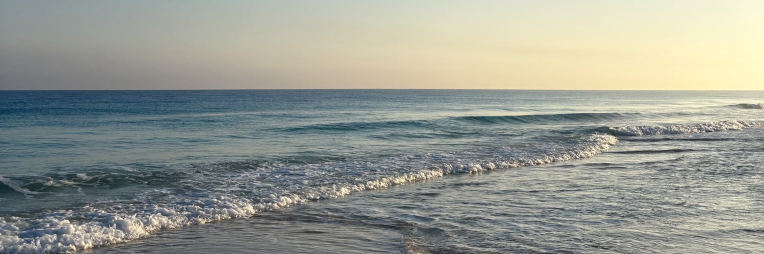 esraa_860's profile banner image