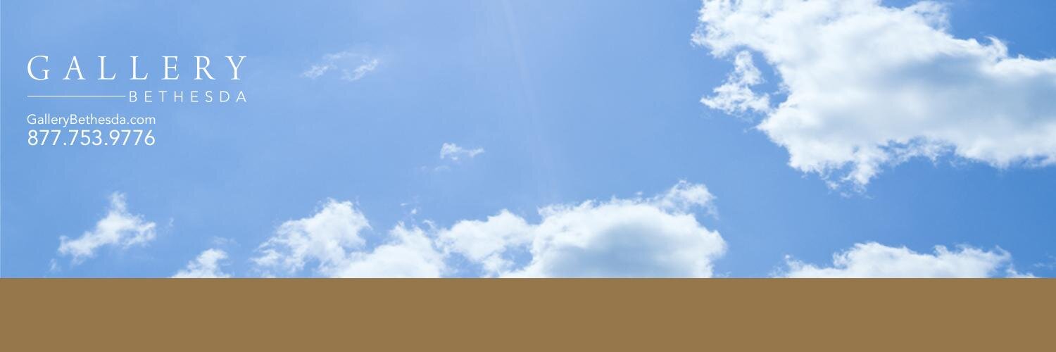 GalleryBethesda's profile banner image