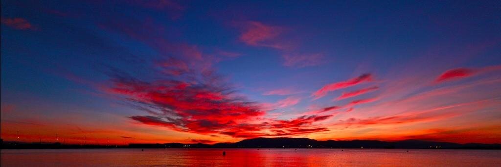 Joaquín Calvo banner