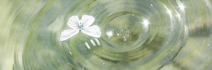 polowniya's profile banner image