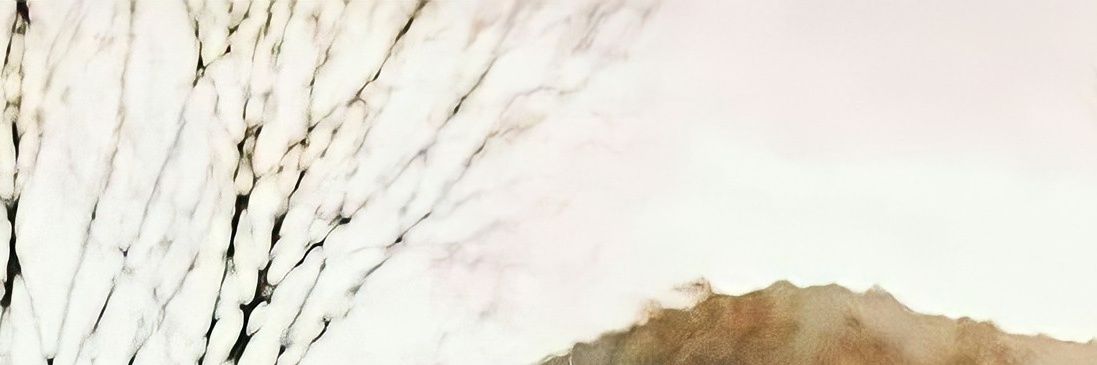 Baeyuta banner
