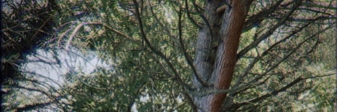 kandyboobear's profile banner image