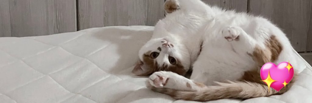 みづき ☪︎ banner