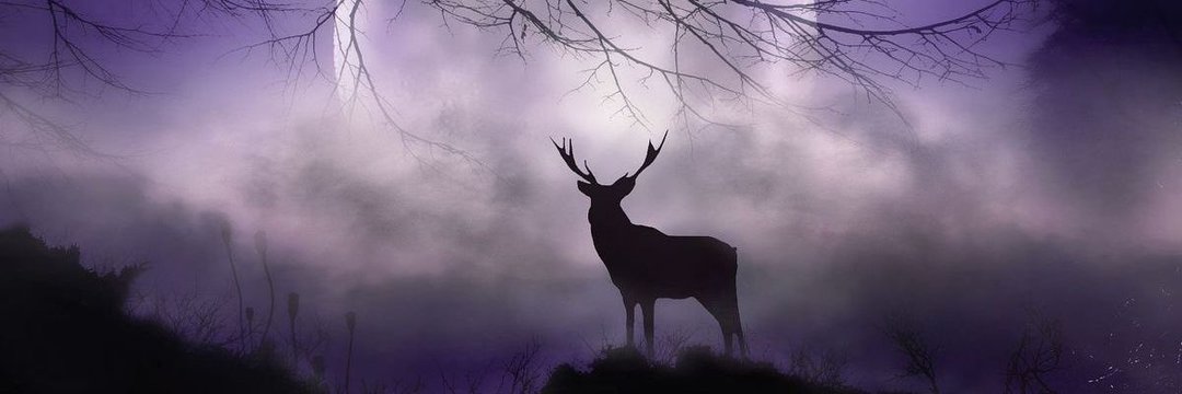 Adedayo Osijo banner