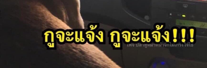 ขมิบศรี banner
