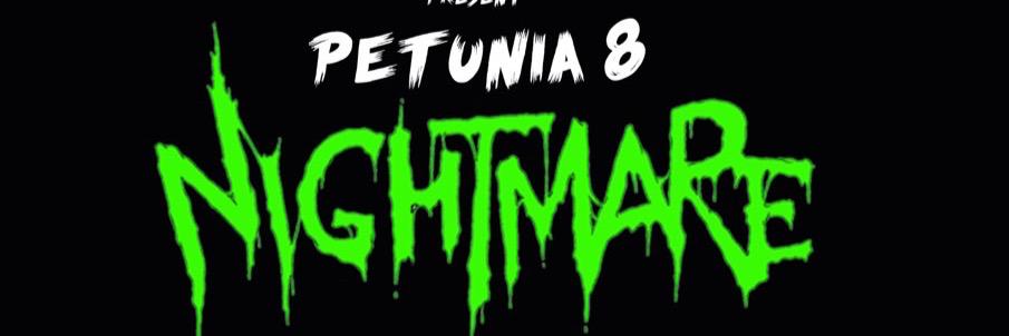 PetuniaVIII's profile banner image