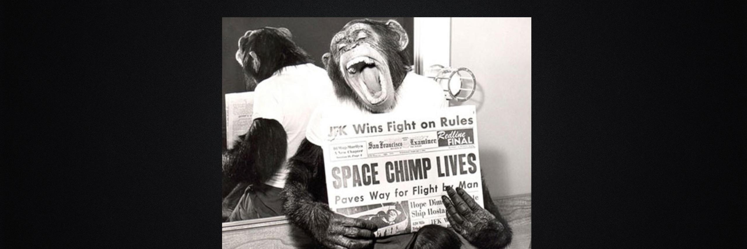 cowabunga lifestyle coach banner