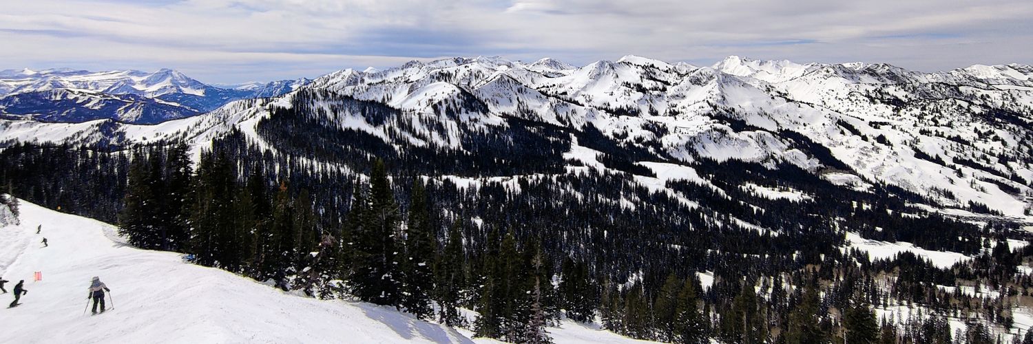 tsauer_12's profile banner image