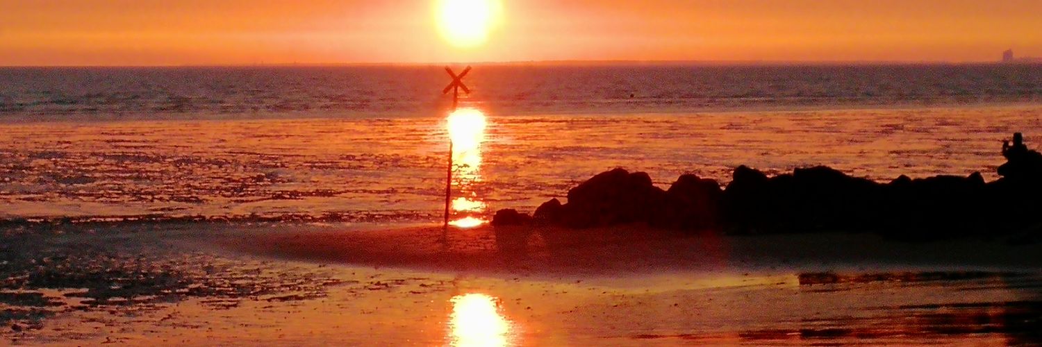 Cécile BETERMIN banner