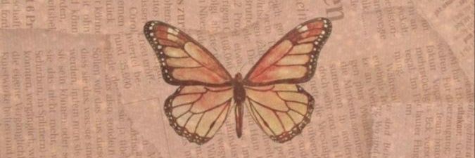 polaamont's profile banner image