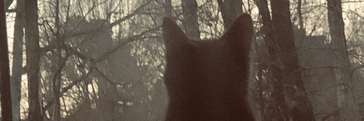 GirouxJanice's profile banner image