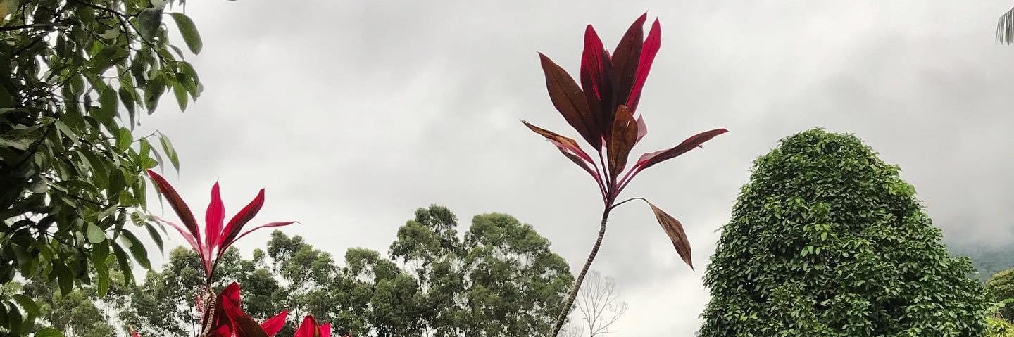 jadsantunes's profile banner image