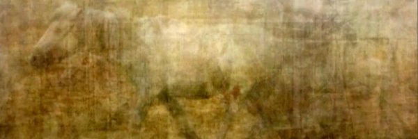 paburt Profile Banner