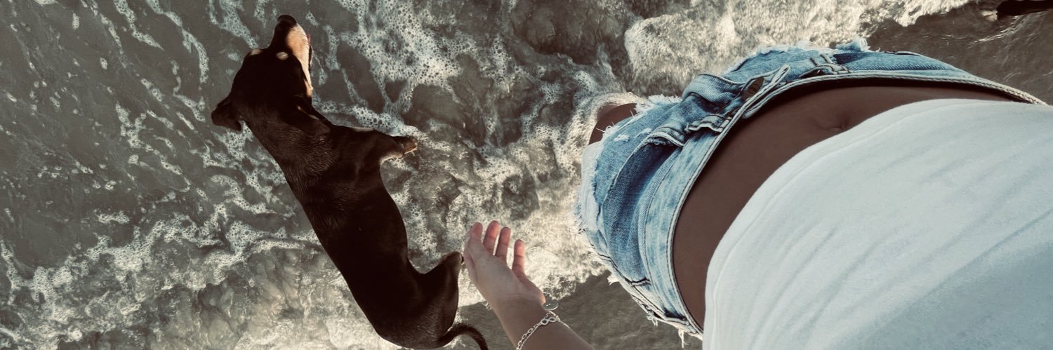 bellabozzaa's profile banner image