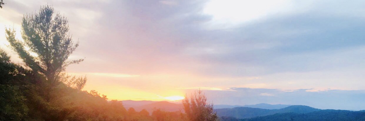 caroline_c803's profile banner image