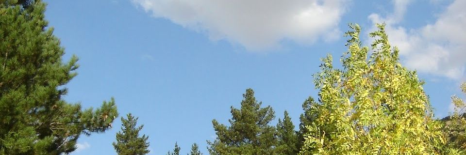 csotope's profile banner image