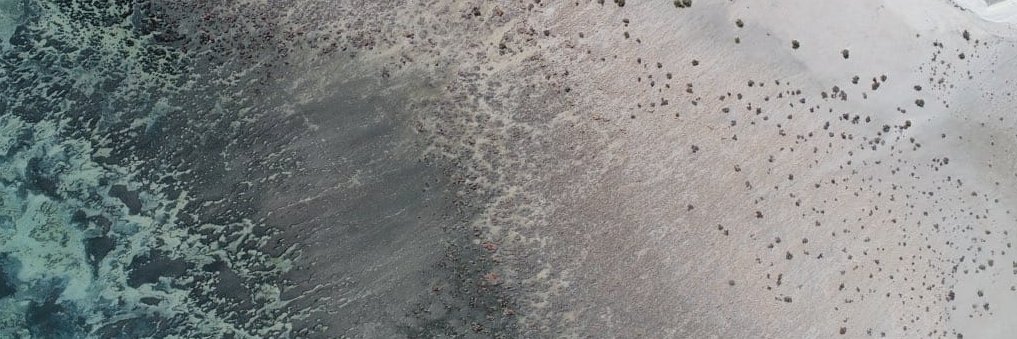 Prudence Perry banner