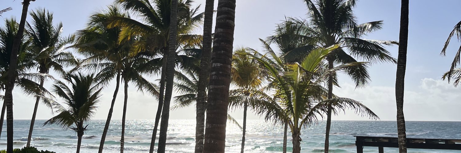HannahPappass's profile banner image