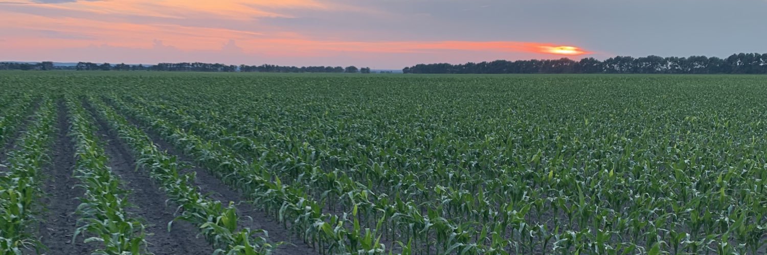 RT54011's profile banner image