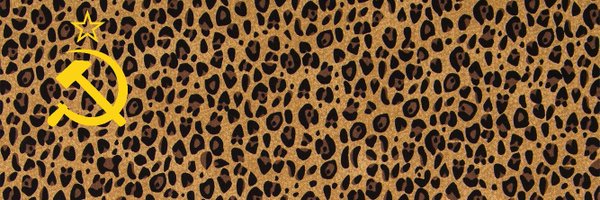 badfacejulss Profile Banner