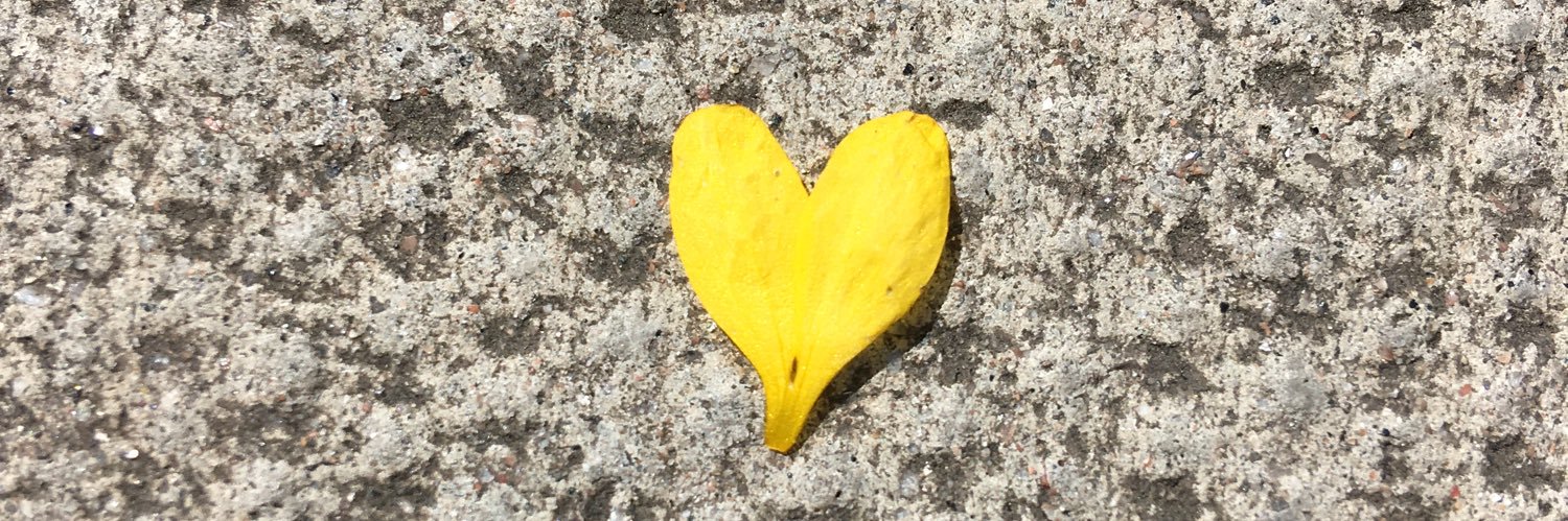 Catherine Fox banner