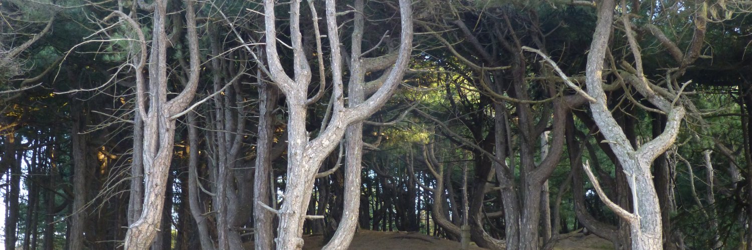Elcanicho's profile banner image
