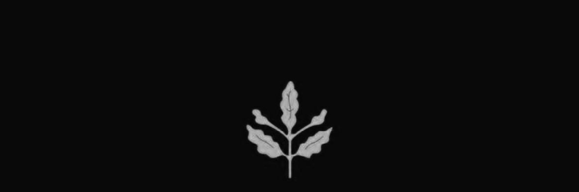 evirken99's profile banner image