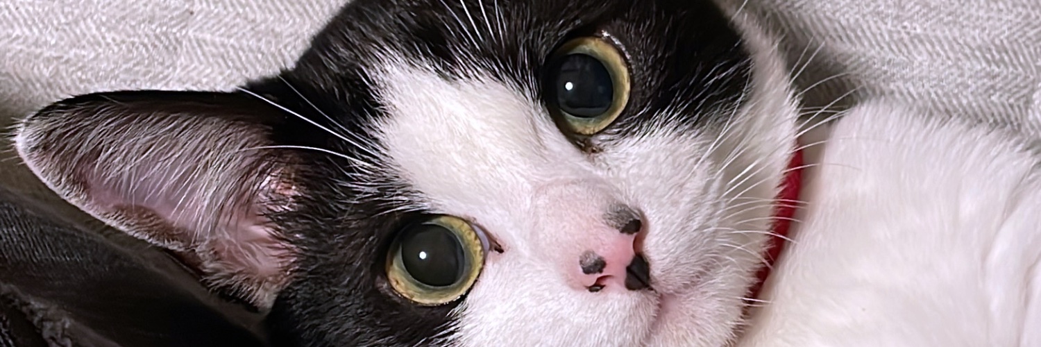 がぶぺろ！ banner