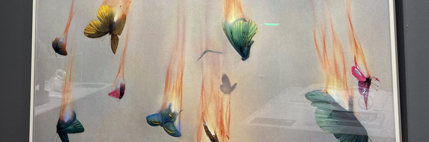 ilayda banner