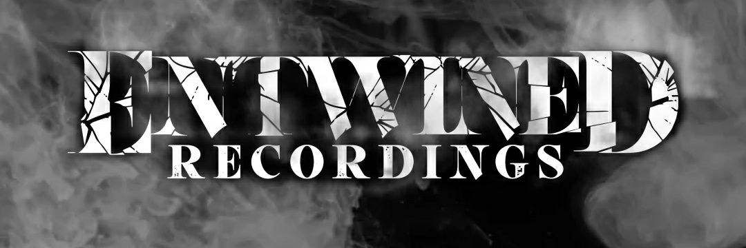 EntwinedRecord's profile banner image