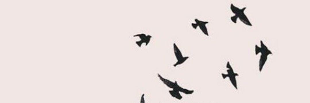 SoomaaHm's profile banner image