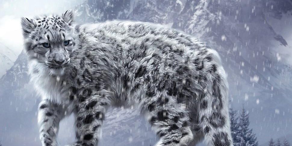 darious74's profile banner image